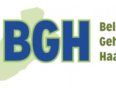 logoBGH_4.jpg
